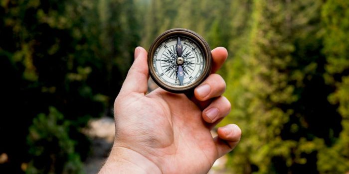 What Is Geocaching? First Steps to Finding Your First Cache