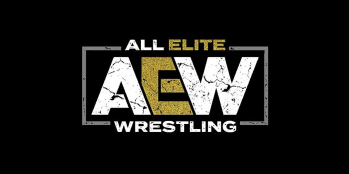 6 Things to Know About “All Elite Wrestling” Before Its TNT Debut