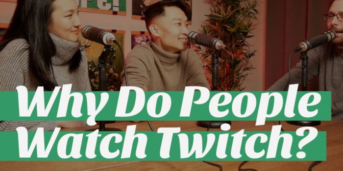 Ask WhatNerd: Why Do People Watch Twitch?