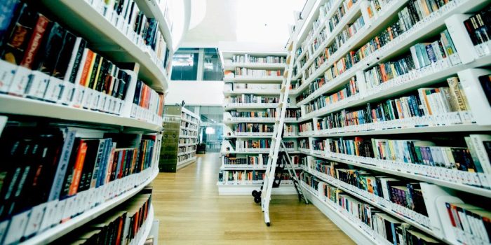 How to Start Your Manga Collection: A Step-by-Step Guide