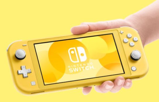 Nintendo Switch vs. Nintendo Switch Lite: What’s the Difference? - whatNerd