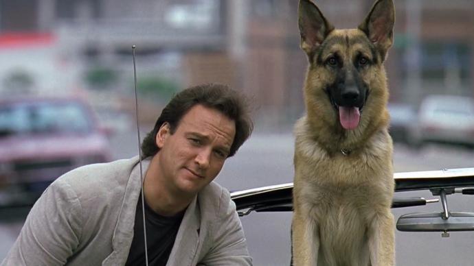 The 7 Best Buddy Cop Movies on Netflix - 2