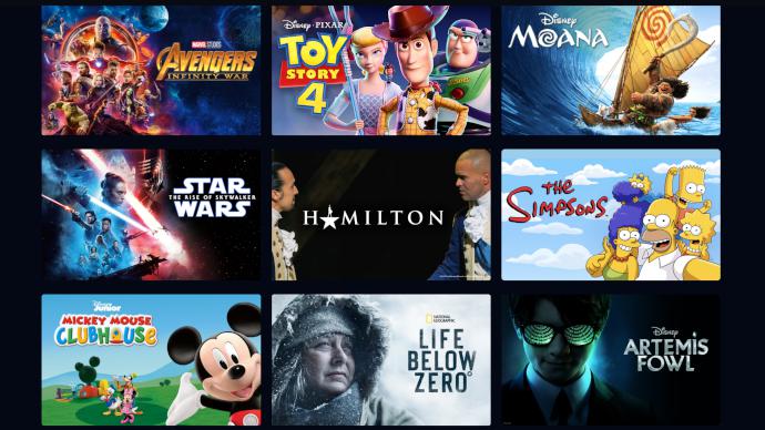 Is Disney  Worth It  7 Reasons Why You Might Want to Subscribe - 34