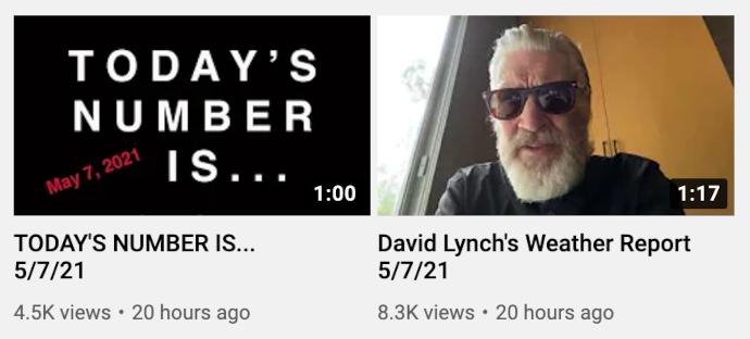 Who Is David Lynch  10 Weird and Wonderful Facts to Know - 18