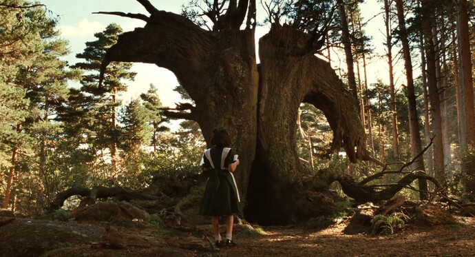 Best Metaphorical Movies With Hidden Meanings - Pan's Labyrinth (2006)