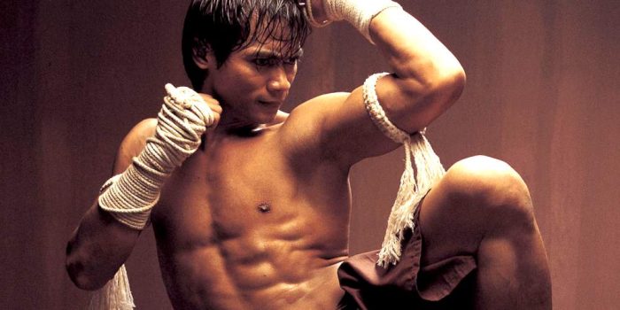 The 8 Best Action-Packed Martial Arts Movies, Ranked