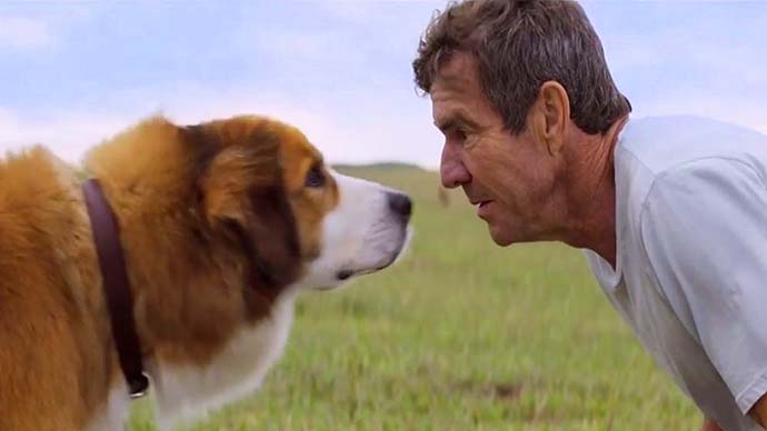 The 6 Best Movies About Man and Animal Relationships - 69