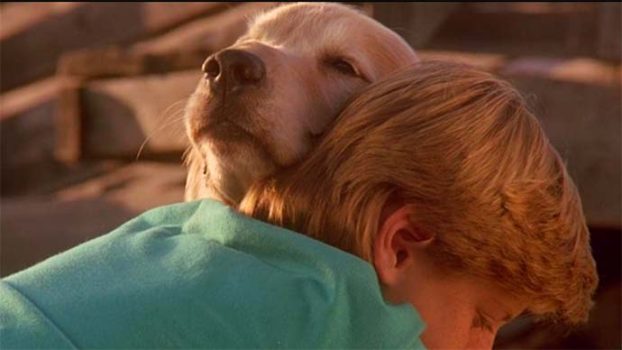 The 6 Best Movies About Man and Animal Relationships - whatNerd