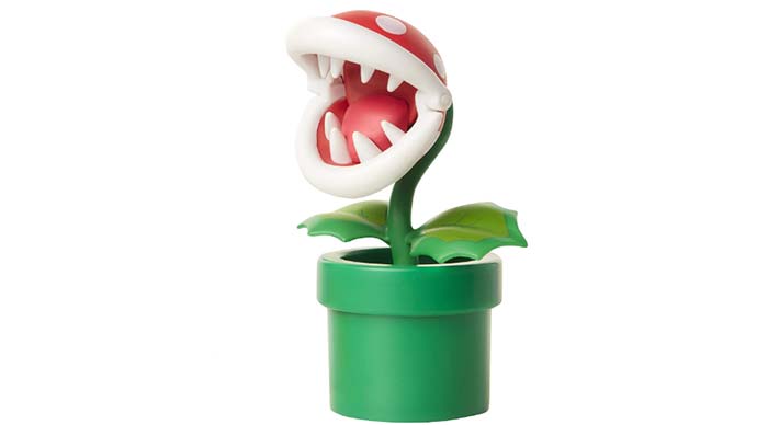 Why Venus Fly Traps Are Great for Your Office Desk  6 Reasons - 72