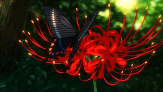 Meaning of the Red Spider Lily in Anime - Children Who Chase Lost Voices