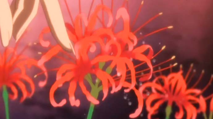 In Suzume (2022), the heroine passes by some Red Spider Lilies on her  journey. The meanings of the lilies in Japanese culture foreshadow the  destination of her journey (explanation in comments) :