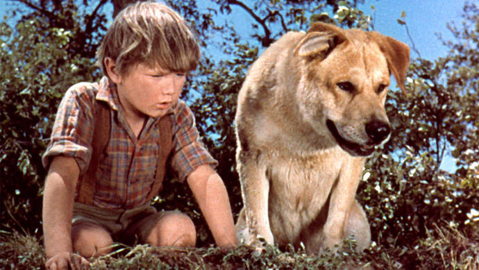 The 10 Saddest Children s Movies of All Time  Ranked - 57