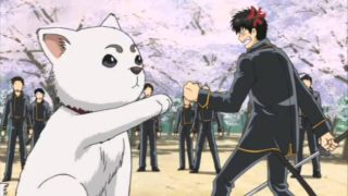 The 21 Best Animal Characters in Anime, Ranked - whatNerd