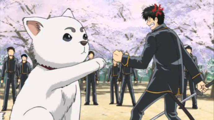 15 Cutest Anime Animals That Youd Want to Keep  Wealth of Geeks