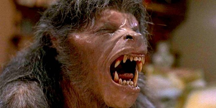 The 10 Best Movies About Werewolves and Lycanthropes