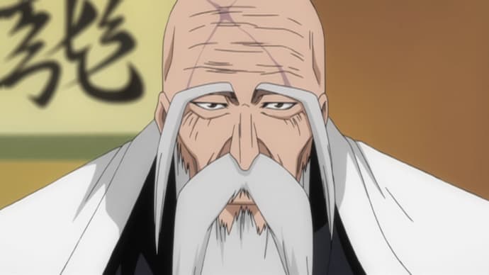 Top 25 Old Man Characters in Anime  ANIME Impulse 