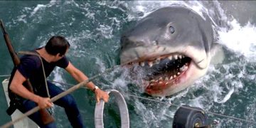 The 15 Best Movies About Sharks and Shark Attacks